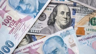 Türkiyədə dollar 31 lirəyə çatıb – YENİ MƏZƏNNƏ