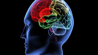 İnsan beyni haqqında 9 MARAQLI FAKT