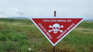 Azad edilmiş ərazilərdə daha 135 mina aşkarlandı