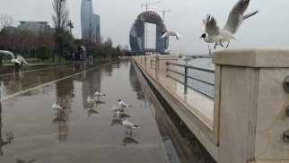 
Sabah Bakıda duman olacaq, yağış yağacaq