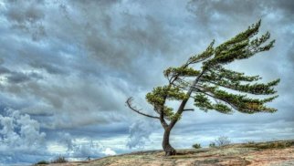 
Güclü külək əsəcək - XƏBƏRDARLIQ