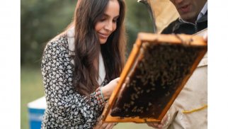
Leyla Əliyeva Qəbələdə “Gənc arıçı” layihəsinin iştirakçısı ilə görüşüb - FOTO