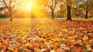 
Sabah 21 dərəcə isti olacaq