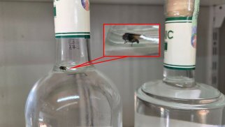 Saxta olduğu azmış kimi içindən milçək də çıxdı - FOTOlar