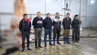 2 tona yaxın yararsız əti keyfiyyətli ət kimi satışa çıxardılar - VİDEO