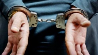 Bakıda ağacların kəsilməsi faktı üzrə 4 nəfər saxlanıldı