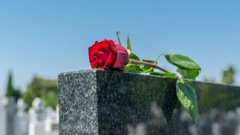 
9 ayda neçə nəfər ölüb?